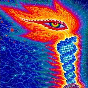 Meet your Posher, Logan